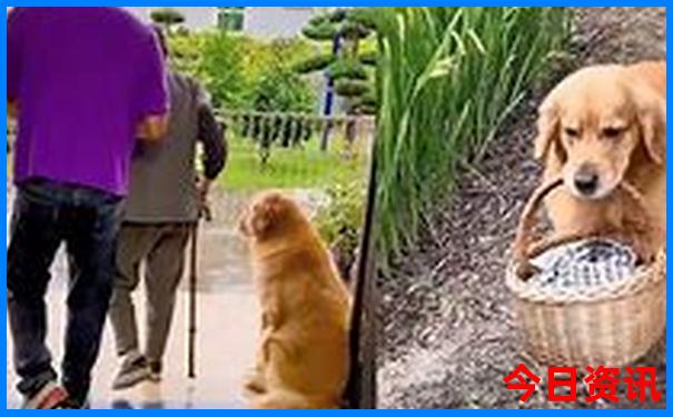 云南攻略最佳旅游攻略